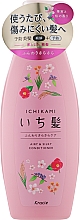 Düfte, Parfümerie und Kosmetik Conditioner für geschädigtes Haar mit Granatapfelduft - Kracie Ichikami Airy and Silky Conditioner