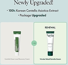 Beruhigende Gesichtscreme mit Centella Asiatica - Purito Seoul Wonder Releaf Centella Cream — Bild N2