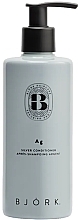 Neutralisierender Conditioner - Bjork Silver Conditioner  — Bild N1