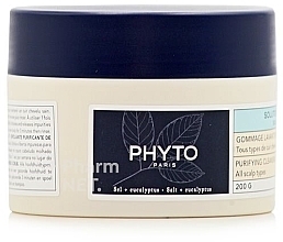 Reinigendes Kopfhautpeeling  - Phyto Scalp Solution Purifying Cleansing Scrub	 — Bild N1