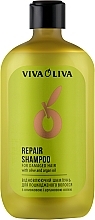 Regenerierendes Shampoo mit Argan- und Olivenöl - Leckere Geheimnisse Viva Oliva — Foto N1