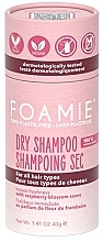 Düfte, Parfümerie und Kosmetik Trockenshampoo für alle Haartypen - Foamie Berry Fresh Dry Shampoo 