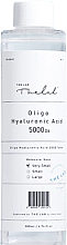 Feuchtigkeitsspendendes und revitalisierendes Gesichtstonikum - The Lab Oligo Hyaluronic Acid 5000 Toner — Bild N2