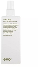 Texturierendes Haarspray - Evo Salty Dog Salt Spray — Bild N1