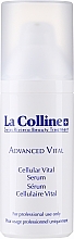 Düfte, Parfümerie und Kosmetik Gesichtsserum - La Colline Advanced Cellular Vital Serum