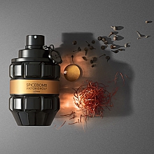 Viktor & Rolf Spicebomb Extreme - Eau de Parfum — Bild N3