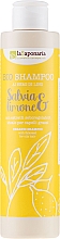 Düfte, Parfümerie und Kosmetik La Saponaria Salvias & Limone Bio Shampoo - Shampoo für fettiges Haar "Salbei & Zitrone" 