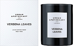 Urban Apothecary Verbena Leaves - Duftkerze — Bild N2