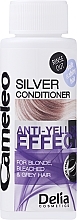 Haarspülung "Silver" für blonde, gebleichte und graue Haare - Delia Cosmetics Cameleo Silver Conditioner — Foto N1