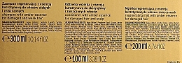 Haarpflegeset - Farmona Jantar (Haarshampoo 300ml + Conditioner 100ml + Haarnebel 200ml) — Bild N3