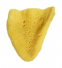 Düfte, Parfümerie und Kosmetik Badeschwamm Elephant Ear 12.7 cm - Hydrea London The Natural Sea Sponge Large