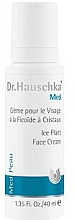 Feuchtigkeitsspendende Gesichtscreme - Dr. Hauschka Ice Plant Face Care Cream — Bild N1