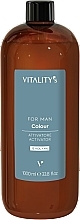 Düfte, Parfümerie und Kosmetik Oxidationsmittel für Männer-Haarfarbe 4 % - Vitality's For Man Colour Activator 