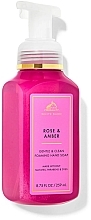 Schaum-Handseife Rose And Amber - Bath and Body Works Rose And Amber Gentle Foaming Hand Soap — Bild N1