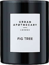 Düfte, Parfümerie und Kosmetik Urban Apothecary Fig Tree - Duftkerze