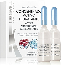 Intensiv feuchtigkeitsspendendes Gesichtsserum mit Rotalgenextrakt und Hyaluronsäure - Keenwell Biologicos Active Moisturizing Concentrated — Bild N1