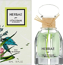 L'Occitane Herbae - Eau de Parfum — Bild N2