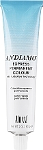 Permanente Haarfarbe - Aloxxi Andiamo Express Permanent Color — Bild N1