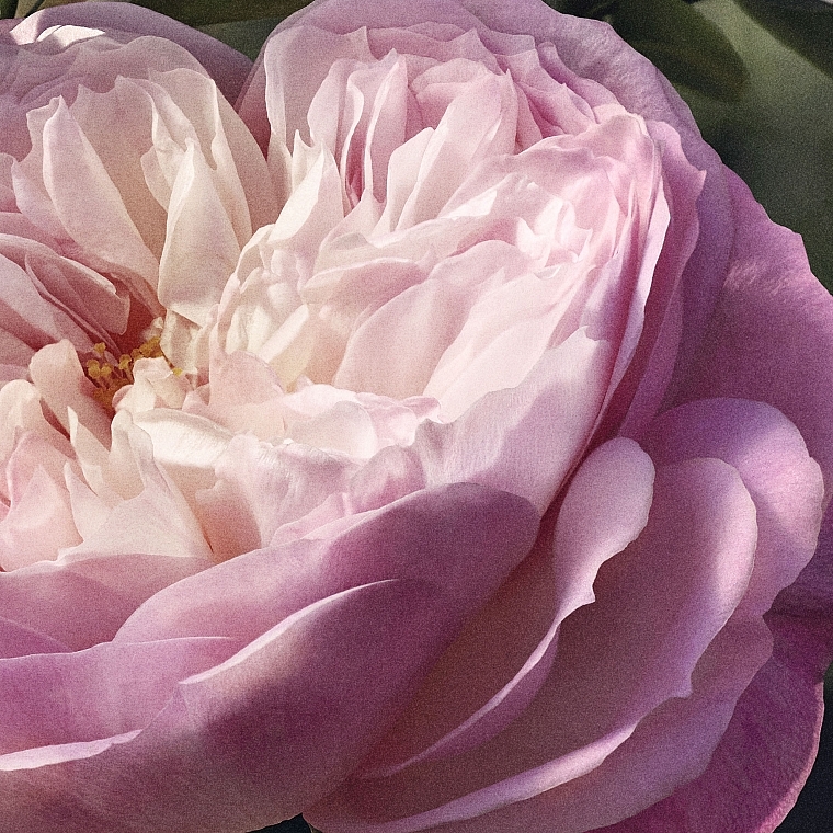 Chloé Rose Naturelle Refill - Eau de Parfum (Refill) — Bild N5