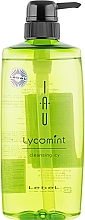 Düfte, Parfümerie und Kosmetik Reinigendes Aroma-Shampoo - Lebel IAU Lycomint Cleansing ICY