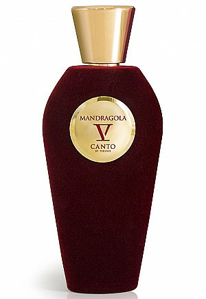 V Canto Mandragola - Eau de Parfum — Bild N1
