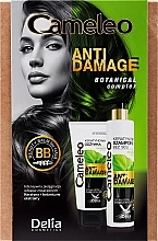Haarpflegeset - Delia Cameleo Anti Damage (Haarshampoo 250ml + Conditioner 200ml) — Bild N1