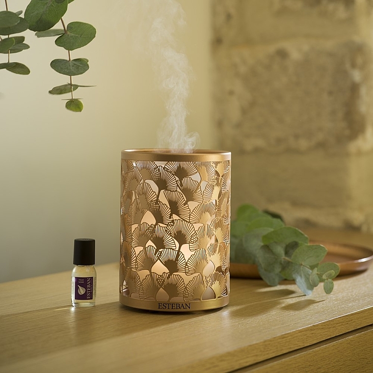 Parfümnebel-Diffusor - Esteban Perfume Mist Diffuser Light &Copper Edition  — Bild N2