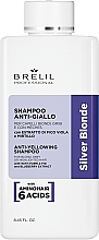 Anti-Gelbstich Shampoo - Brelil Silver Blonde Treatment Anti-Yellowing Shampoo — Bild N1