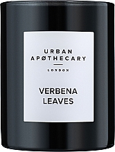 Düfte, Parfümerie und Kosmetik Urban Apothecary Verbena Leaves - Duftkerze