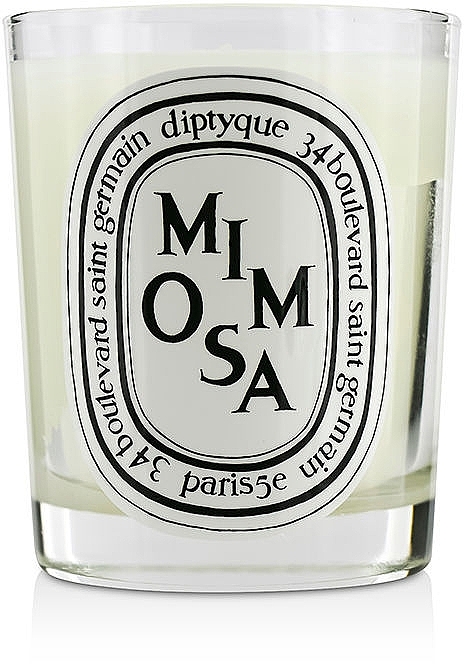 Duftkerze Mimose - Diptyque Mimosa Candle — Bild N1