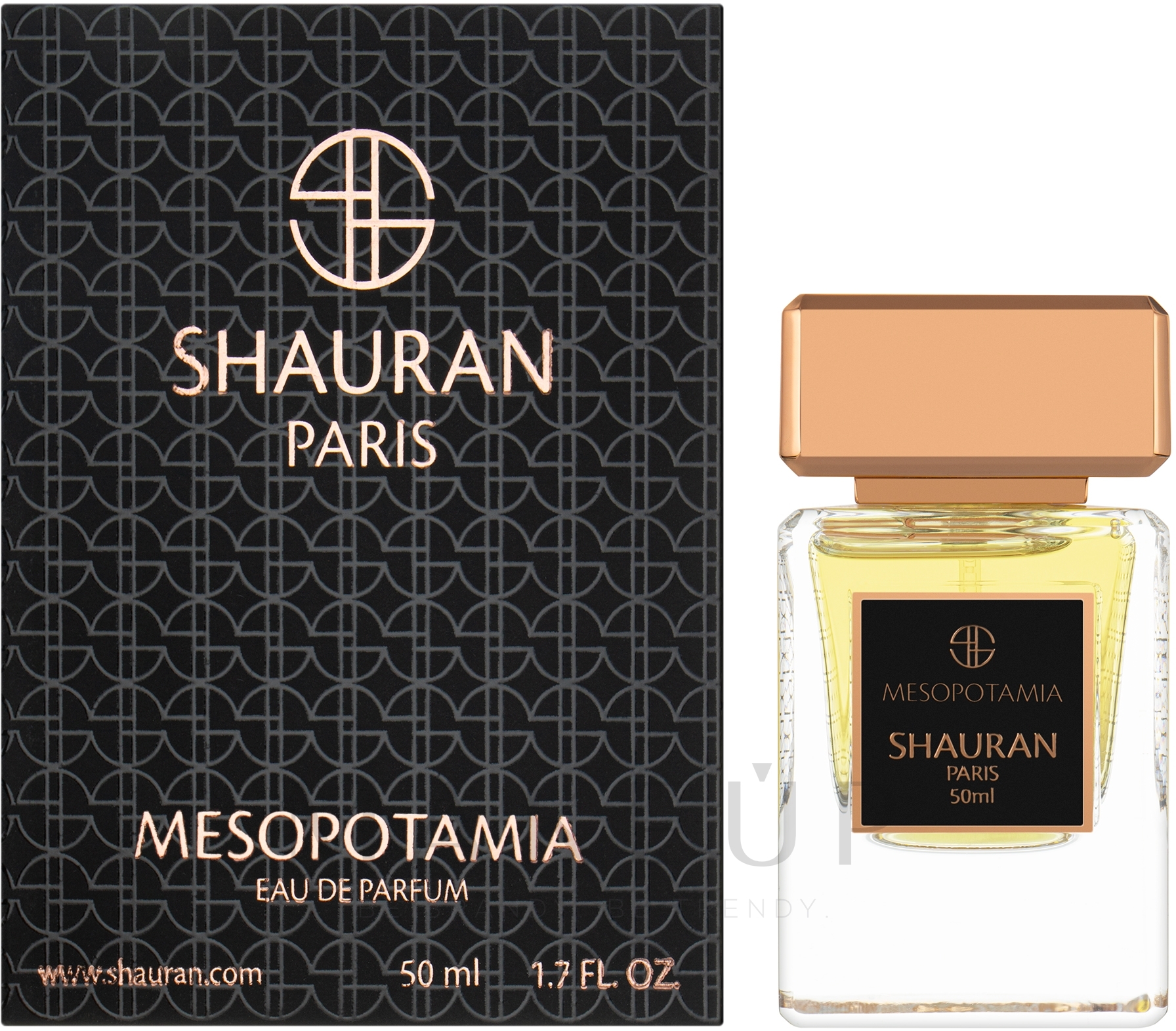 Shauran Mesopotamia - Eau de Parfum — Bild 50 ml
