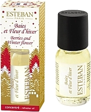 Düfte, Parfümerie und Kosmetik Esteban Berries And Winter Flower - Parfümöl