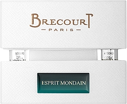 Düfte, Parfümerie und Kosmetik Brecourt Esprit Mondain - Set