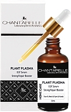 Düfte, Parfümerie und Kosmetik Booster-Serum für das Gesicht - Chantarelle Plant Plazma