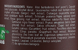Stärkendes Produkt gegen Haarausfall und Schuppen - Glam1965 Purifica Bacter — Bild N3