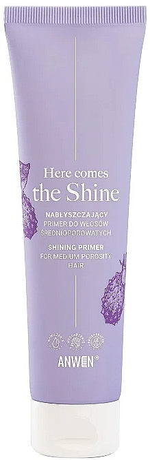 Primer für mittelporöses Haar - Anwen Here Comes The Shine Shining Primer — Bild N1