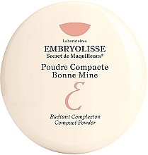 Kompakter Bronzepuder - Embryolisse Artist Secret Compact Powder Bronzing Effect — Bild N1