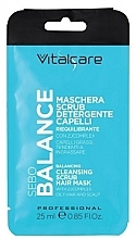Düfte, Parfümerie und Kosmetik Reinigende Peeling-Haarmaske - Vitalcare Professional Sebo Balance Mask & Scrub