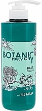 Düfte, Parfümerie und Kosmetik Pflegende Haarmaske mit Artischockenextrakt - Stapiz Botanic Harmony pH 4.5 Mask