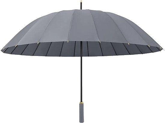 Regenschirm PAR11SZ grau - Ecarla — Bild N2