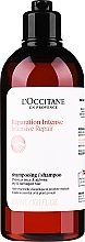 Düfte, Parfümerie und Kosmetik Intensiv reparierendes Shampoo für trockenes, strapaziertes Haar - L'Occitane Aromachologie Intense Repairing Shampoo