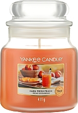 Düfte, Parfümerie und Kosmetik Duftkerze im Glas Farm Fresh Peach - Yankee Candle Farm Fresh Peach