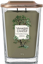 Duftkerze im Glas Vetiver und schwarze Zypresse - Yankee Candle Elevation Vetiver and Black Cypress Candle — Bild N2