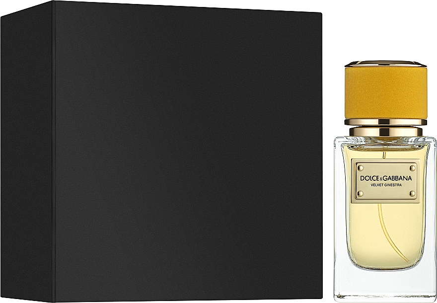 Dolce & Gabbana Velvet Ginestra - Eau de Parfum — Bild N2