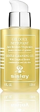 Düfte, Parfümerie und Kosmetik Reinigungsgel mit Marshmallow-Extrakt für fettige- und Misch- Gesichtshaut - Sisley Gentle Cleansing Gel With Tropical Resins