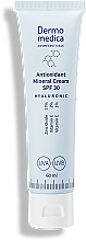 Antioxidative Gesichtscreme - Dermomedica Hyaluronic Antioxidant Mineral Cream SPF30 — Bild N1