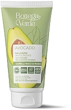 Haarspülung - Bottega Verde Avocado Anti-Frizz Conditioner — Bild N1