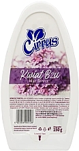 Düfte, Parfümerie und Kosmetik Gel-Lufterfrischer lila Blume - Cirrus