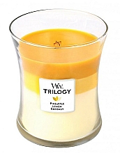 Düfte, Parfümerie und Kosmetik Duftkerze im Glas Fruits of Summer - WoodWick Hourglass Trilogy Candle Fruits of Summer 