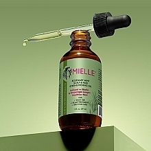 Kräftigendes Haar- und Kopfhautöl Rosmarin und Minze  - Mielle Organics Rosemary Mint Scalp & Hair Strengthening Oil  — Bild N3